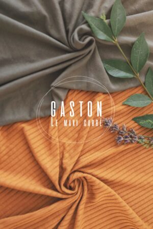 Gaston le Maxi Carré - Tziganette